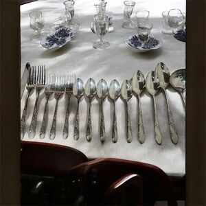 VTG 17 Piece 1950 Oneida Tudor Plate Community Bridal Wreath Floral Pattern